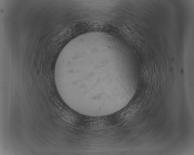 X0000070190769200605301312