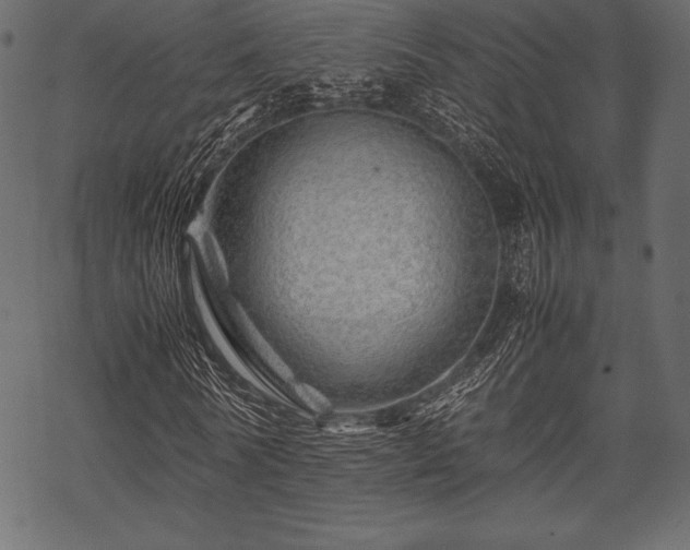 X0000070190770200605301312