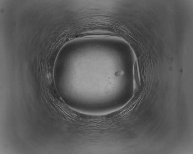 X0000070190771200605301312