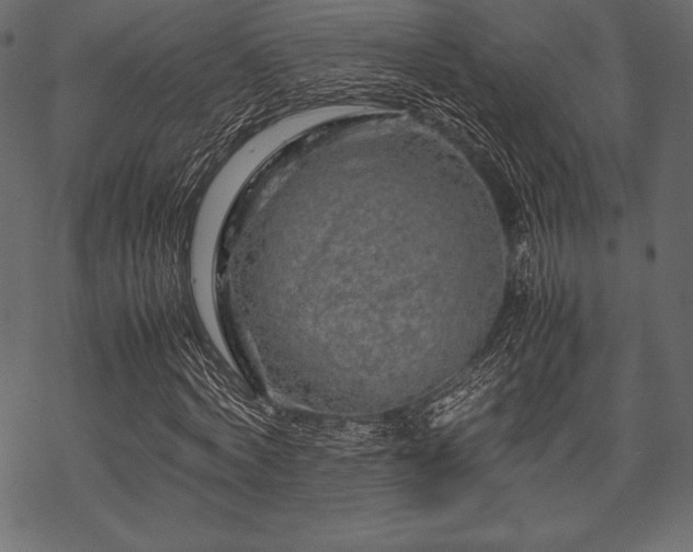 X0000070190772200605301312