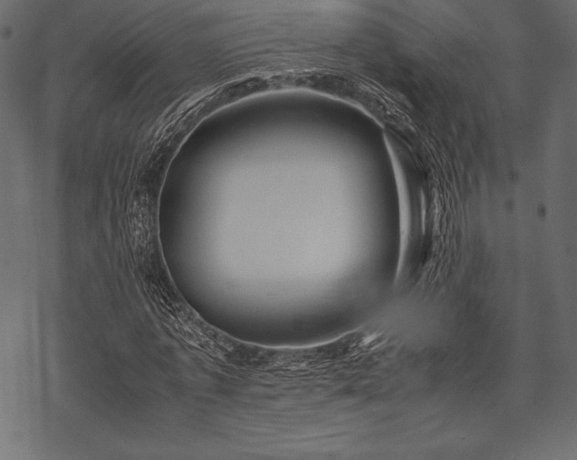 X0000070190773200605301312