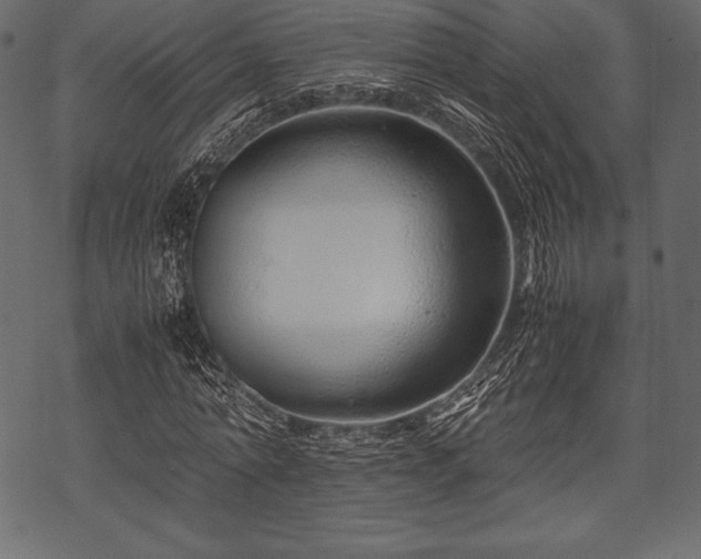 X0000070190774200605301311