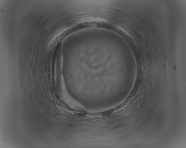 X0000070190775200605301311