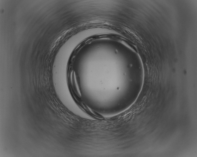 X0000070190776200605301311