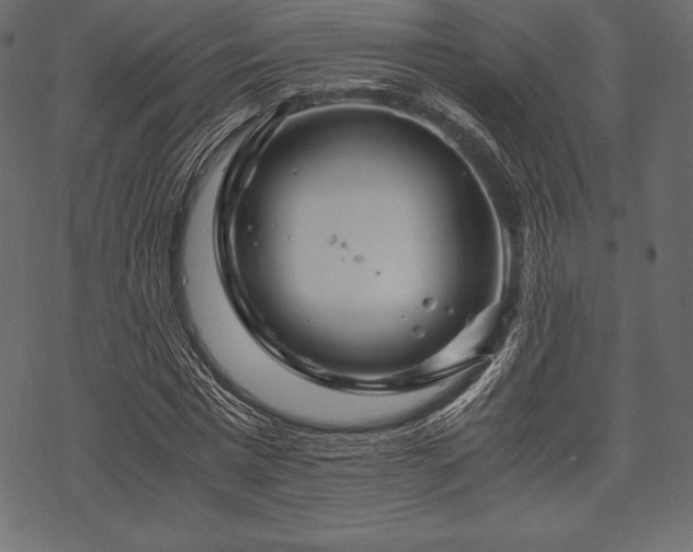 X0000070190777200605301311