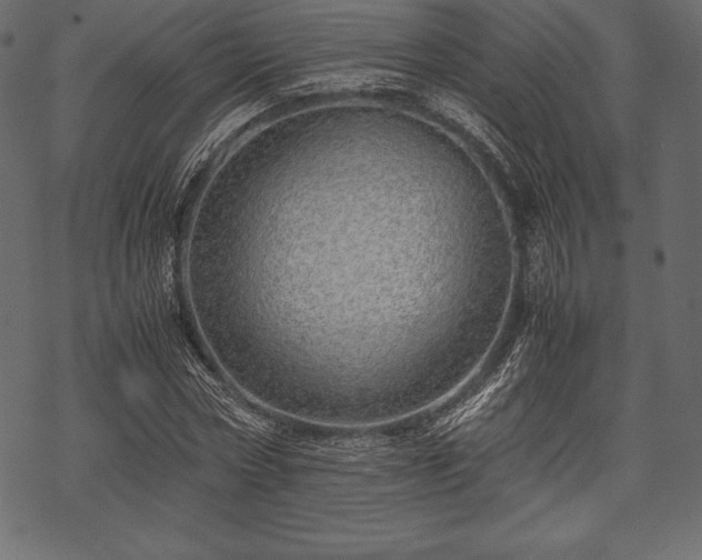 X0000070190778200605301311