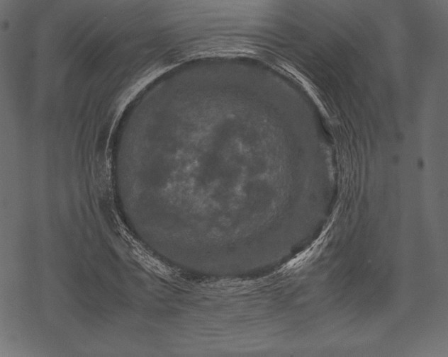 X0000070190779200605301311