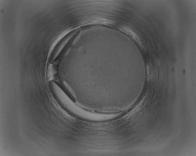 X0000070190780200605301311