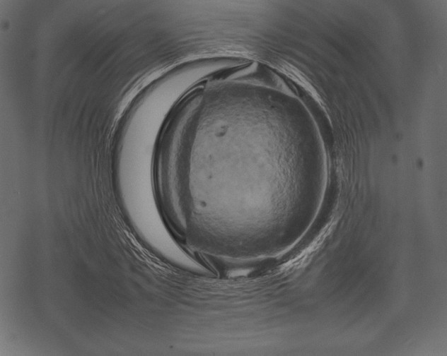 X0000070190781200605301311