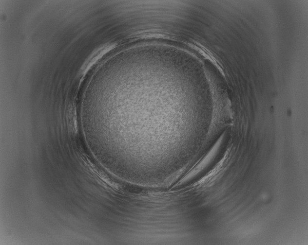 X0000070190782200605301311