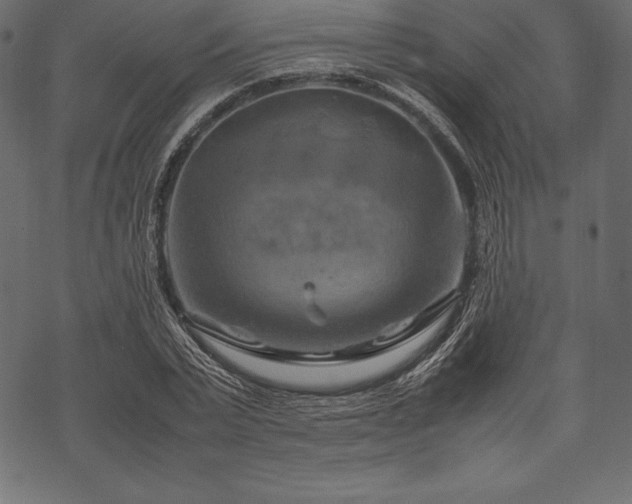 X0000070190783200605301311