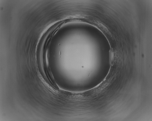 X0000070190784200605301311