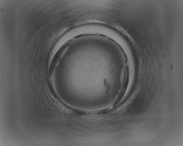 X0000070190785200605301311