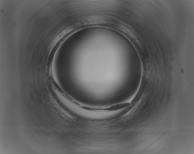 X0000070190786200605301311