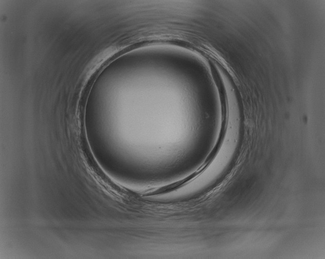 X0000070190787200605301311