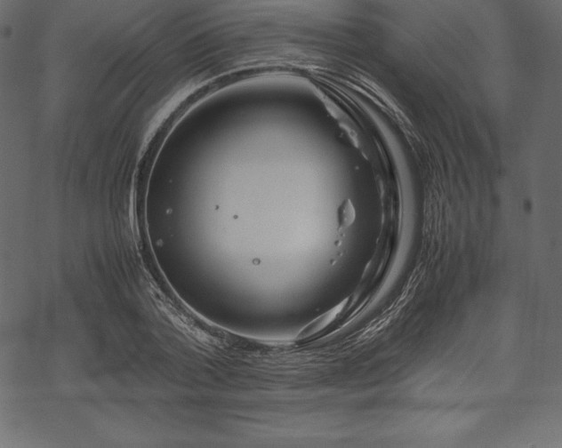 X0000070190788200605301311