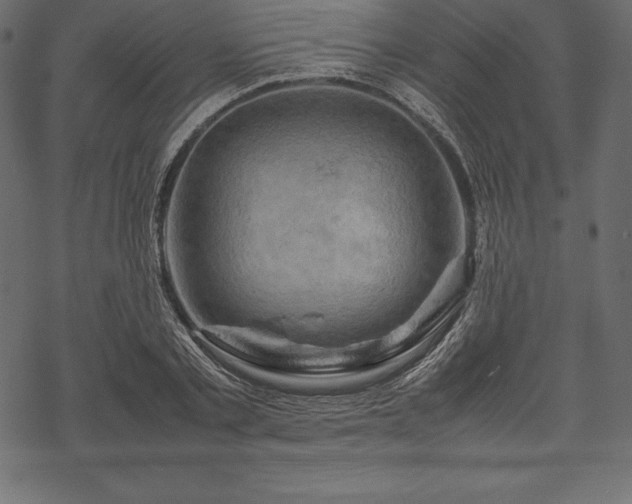 X0000070190789200605301311