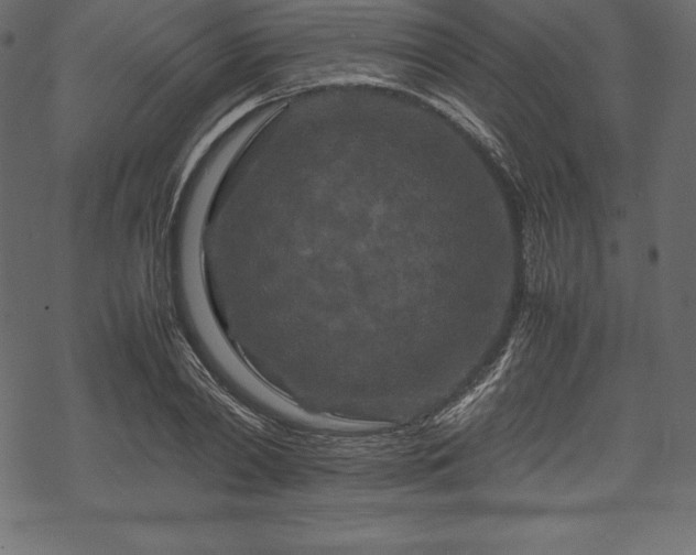 X0000070190790200605301311