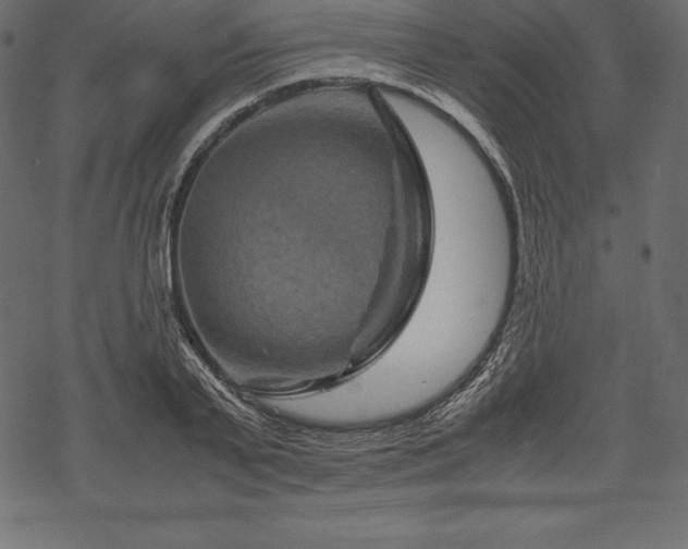 X0000070190791200605301311