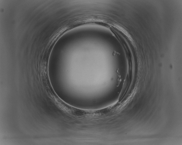 X0000070190793200605301311