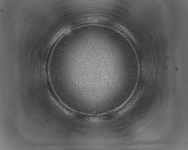 X0000070190794200605301311