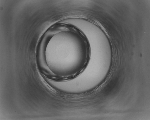 X0000070190795200605301311