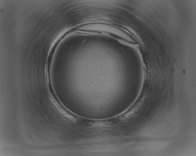 X0000070190796200605301311