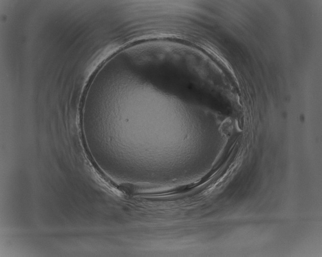 X0000070190797200605301311