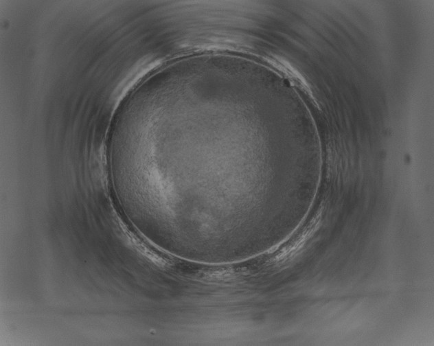 X0000070190798200605301311