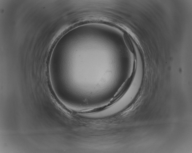 X0000070190799200605301311