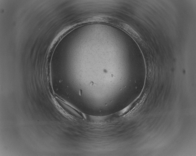 X0000070190800200605301311