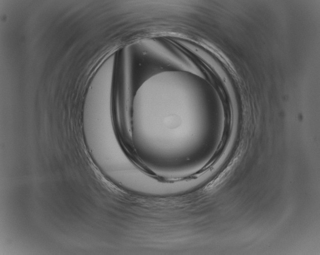 X0000070190801200605301311