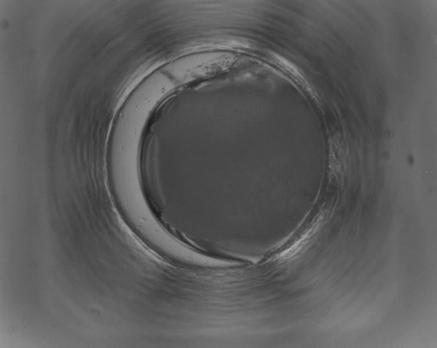 X0000070190802200605301311