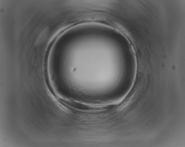 X0000070190803200605301311