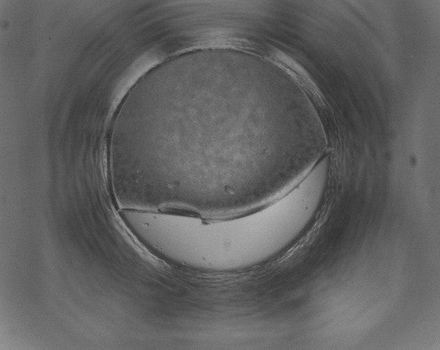 X0000070190804200605301311