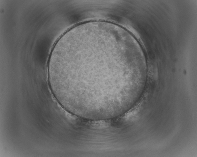 X0000070190807200605301311