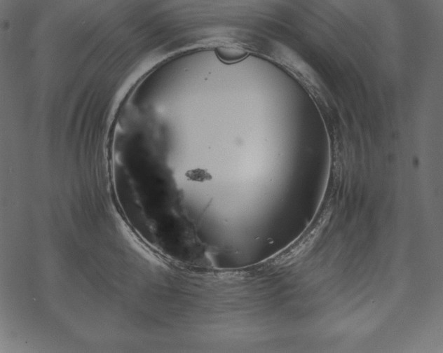 X0000070190808200605301311