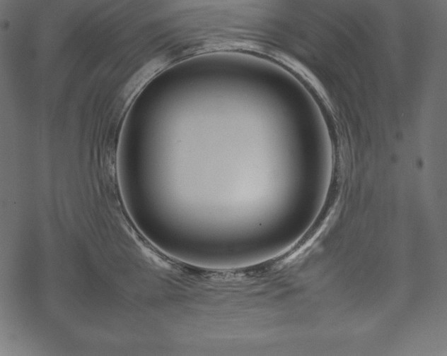 X0000070190809200605301311