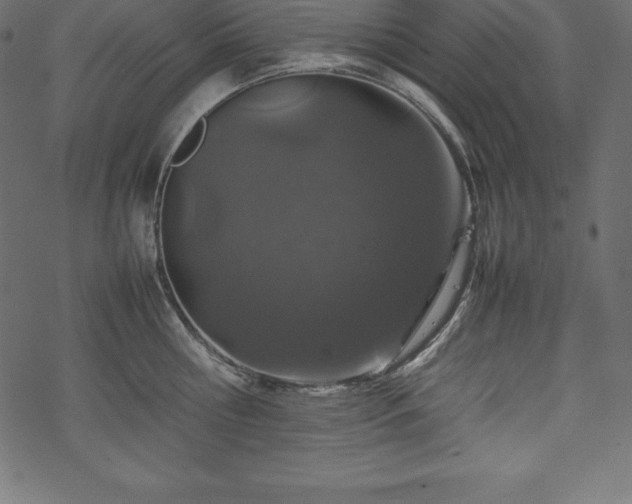 X0000070190810200605301311