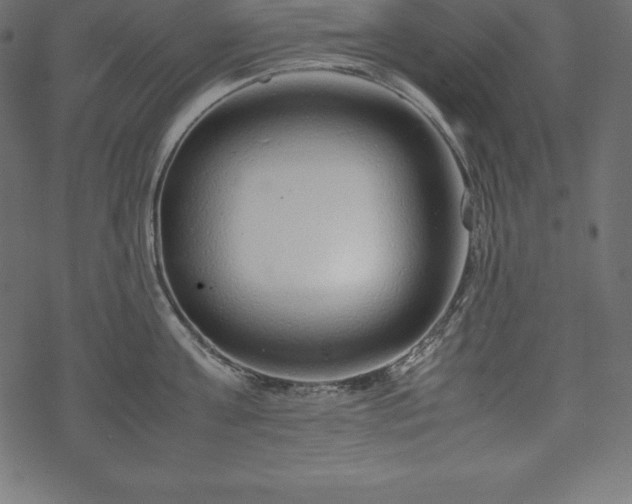 X0000070190811200605301311