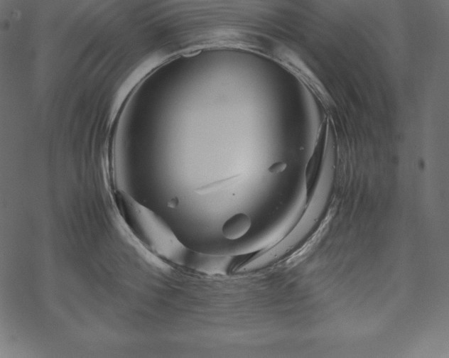 X0000070190812200605301311