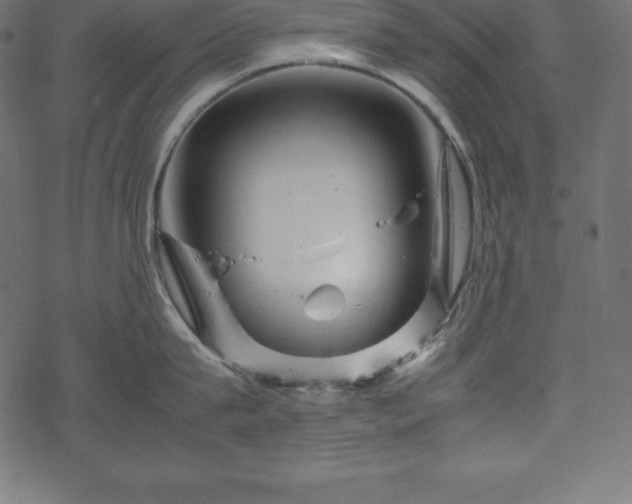 X0000070190815200605301311