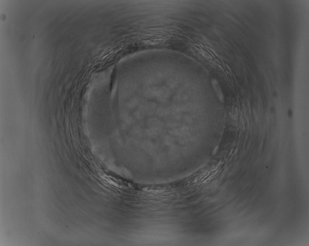 X0000070190817200605301310