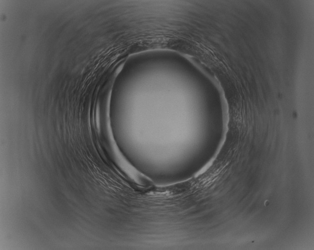 X0000070190818200605301310