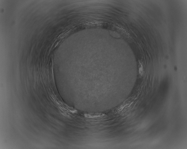 X0000070190819200605301310