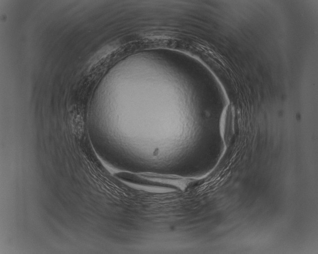 X0000070190821200605301310