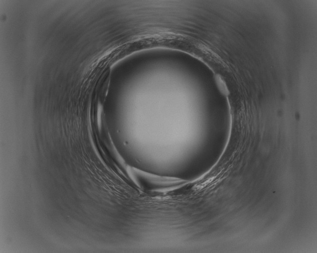 X0000070190822200605301310