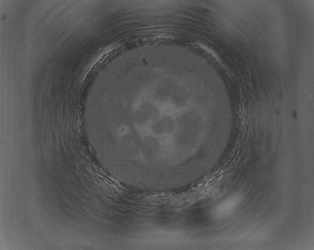 X0000070190823200605301310