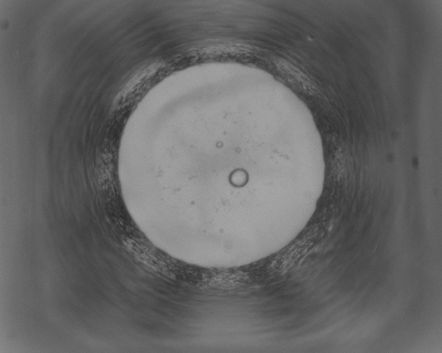 X0000070190824200605301310