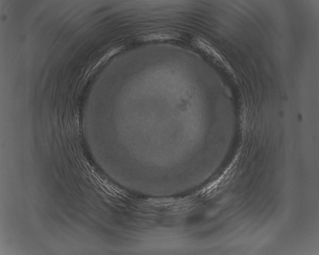 X0000070190825200605301310